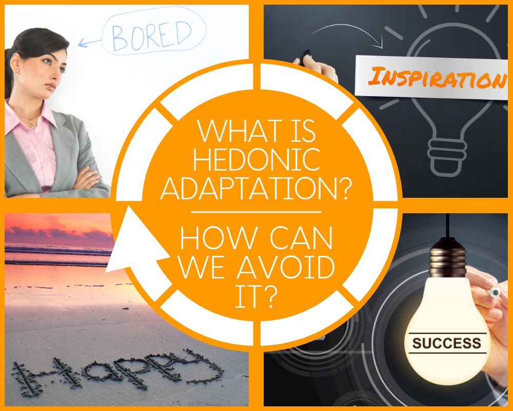 hedonic adaptation definition